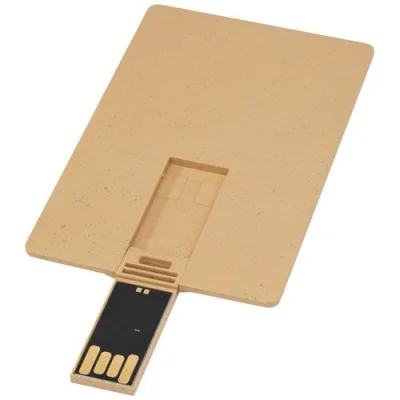 Clé USB biodégradable rectangulaire en forme de carte de crédit