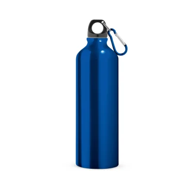Landscape L – Bouteille de sport 800mL en aluminium avec mousqueton