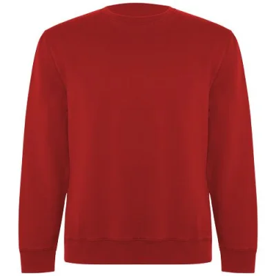 Sweat shirt de 300 g/m² Batian en coton organique