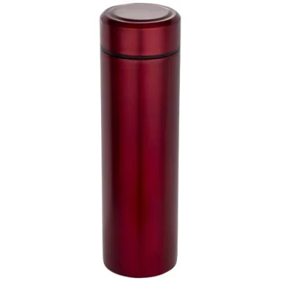 Gourde Taylor en acier inoxydable à double paroi de 450 ml avec filtre à thé