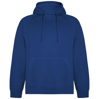 Sweat à capuche de 300 g/m² Vinson en coton organique unisexe