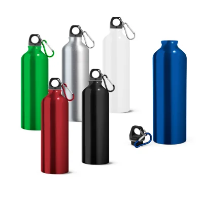 Landscape L – Bouteille de sport 800mL en aluminium avec mousqueton
