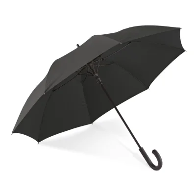 Albert – Parapluie en pongee 190T avec ouverture automatique
