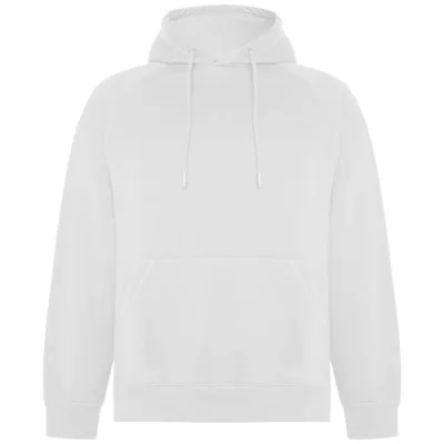 Sweat à capuche de 300 g/m² Vinson en coton organique unisexe