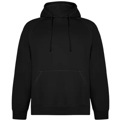Sweat à capuche de 300 g/m² Vinson en coton organique unisexe