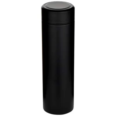 Gourde Taylor en acier inoxydable à double paroi de 450 ml avec filtre à thé