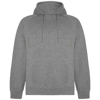 Sweat à capuche de 300 g/m² Vinson en coton organique unisexe