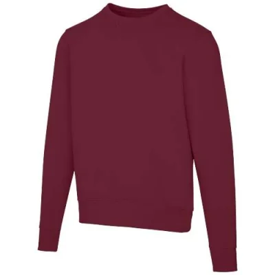 Sweat shirt ras du cou unisexe de 300 g/m² Arora