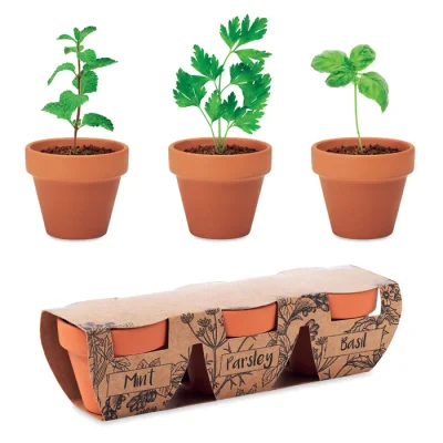 Flowerpot – 3 pots en terre
