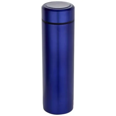 Gourde Taylor en acier inoxydable à double paroi de 450 ml avec filtre à thé