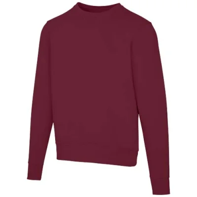Sweat shirt ras du cou unisexe de 300 g/m² Arora