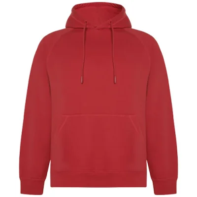 Sweat à capuche de 300 g/m² Vinson en coton organique unisexe