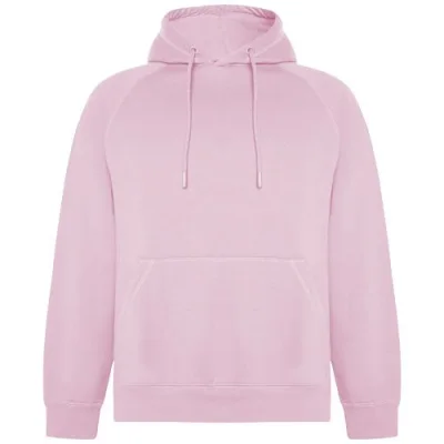 Sweat à capuche de 300 g/m² Vinson en coton organique unisexe
