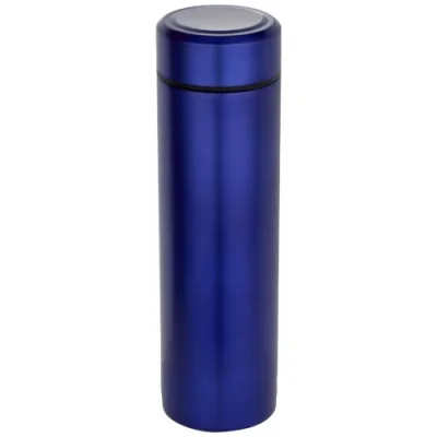 Gourde Taylor en acier inoxydable à double paroi de 450 ml avec filtre à thé