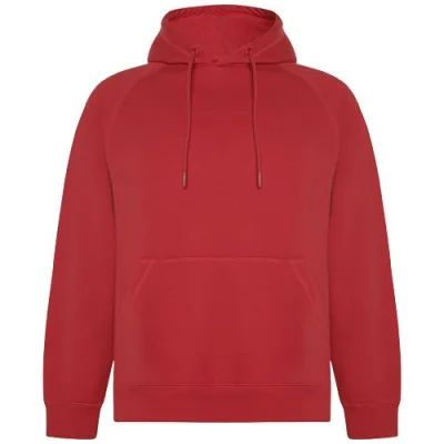 Sweat à capuche de 300 g/m² Vinson en coton organique unisexe