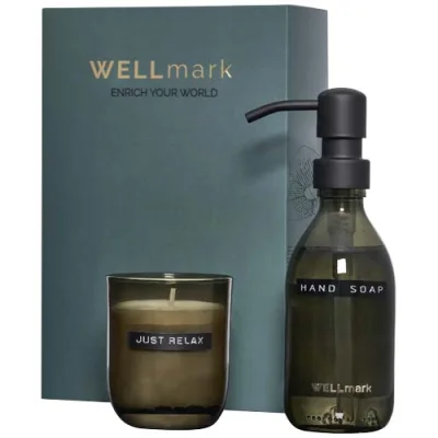 Distributeur de savon pour les mains de 250 ml et ensemble de bougies parfumées de 150 g Wellmark Discovery- parfum linge fra