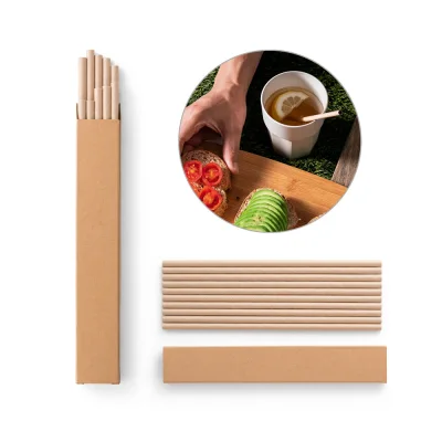 Lamone – Lot de 10 pailles en papier kraft