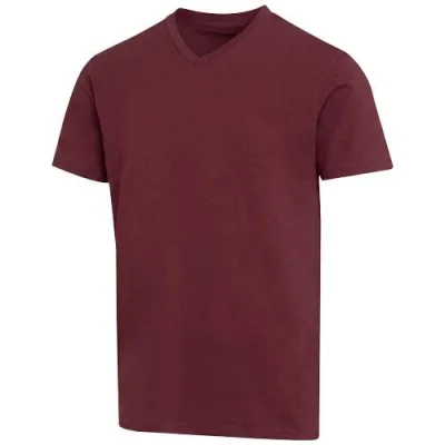 T-shirt unisexe en coton bio certifié OCS Balfour à manches courtes et col en V de 200 g/m²