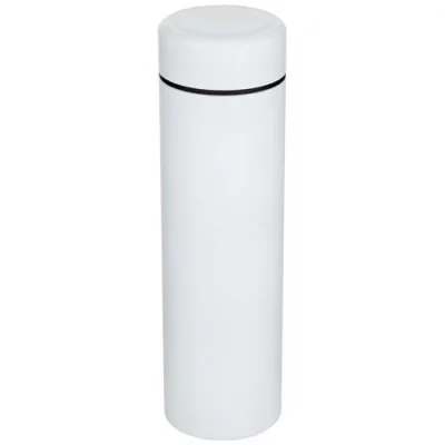 Gourde Taylor en acier inoxydable à double paroi de 450 ml avec filtre à thé