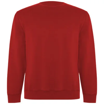 Sweat shirt de 300 g/m² Batian en coton organique