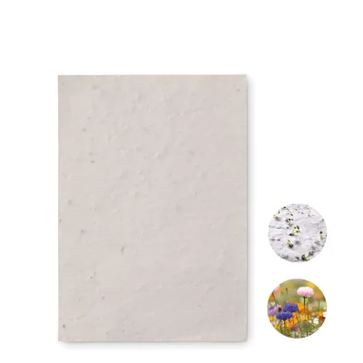 Asido – Papier A6 graines de fleurs