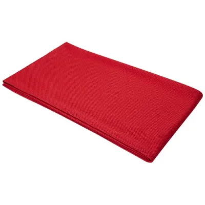 Serviette de sport Althea 70 x 140 cm