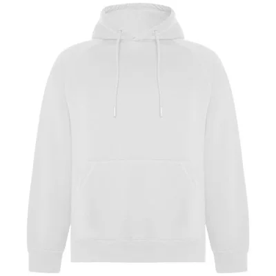 Sweat à capuche de 300 g/m² Vinson en coton organique unisexe