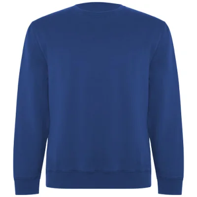Sweat shirt de 300 g/m² Batian en coton organique