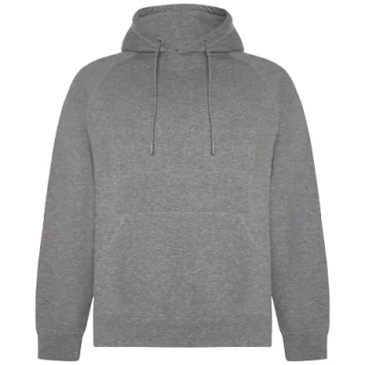 Sweat à capuche de 300 g/m² Vinson en coton organique unisexe
