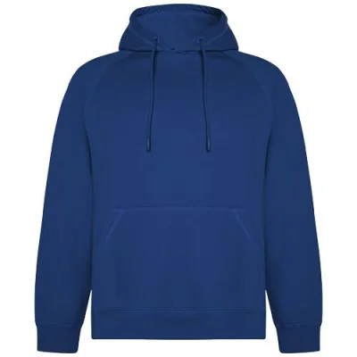 Sweat à capuche de 300 g/m² Vinson en coton organique unisexe