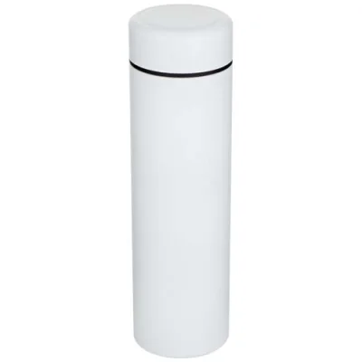 Gourde Taylor en acier inoxydable à double paroi de 450 ml avec filtre à thé