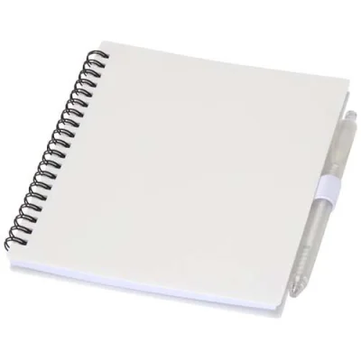 Ensemble carnet à couverture souple en plastique recyclé et stylo bille (encre bleue) Niove