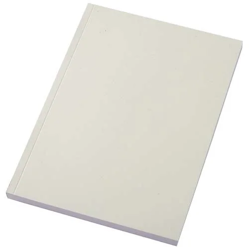 Carnet Scribe Plus A5 à couverture souple en papier recyclé