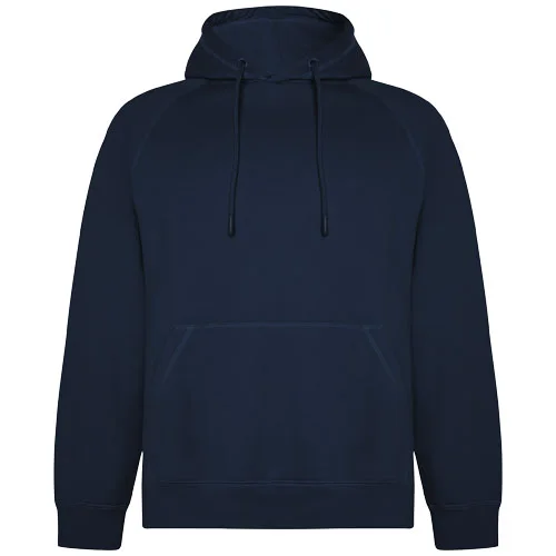 Sweat à capuche de 300 g/m² Vinson en coton organique unisexe