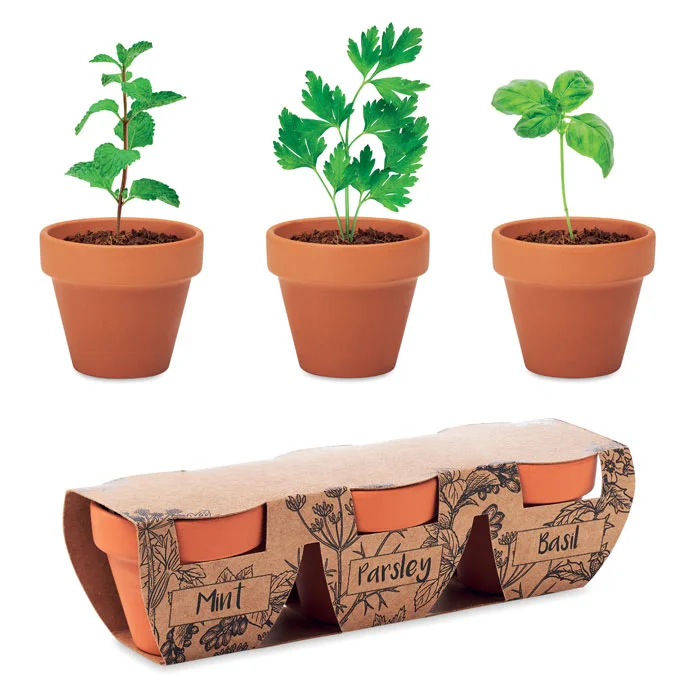 Flowerpot – 3 pots en terre