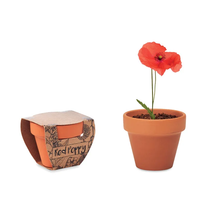 Red Poppy – Pot graines de coquelicot