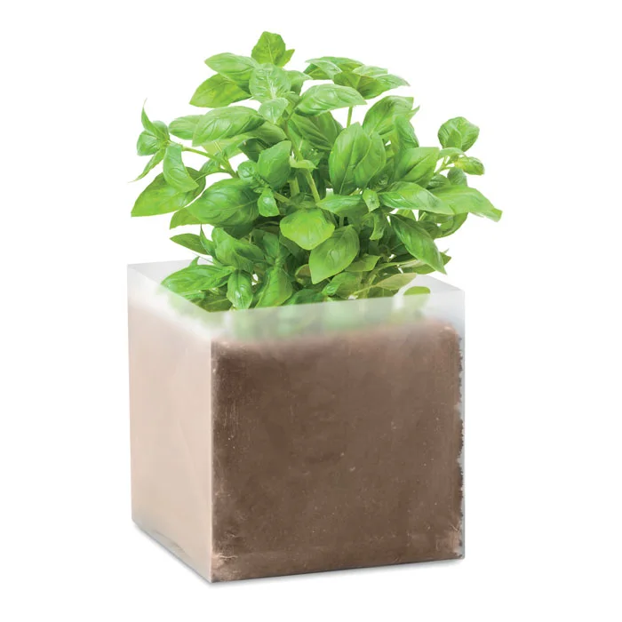 Basil – Substrat avec graines Basilic